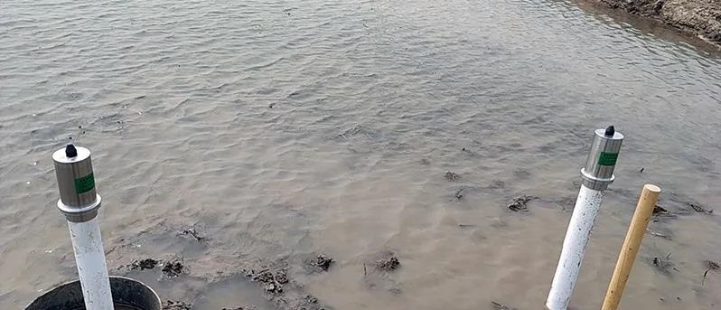 1631858191134012.jpg 1.jpg